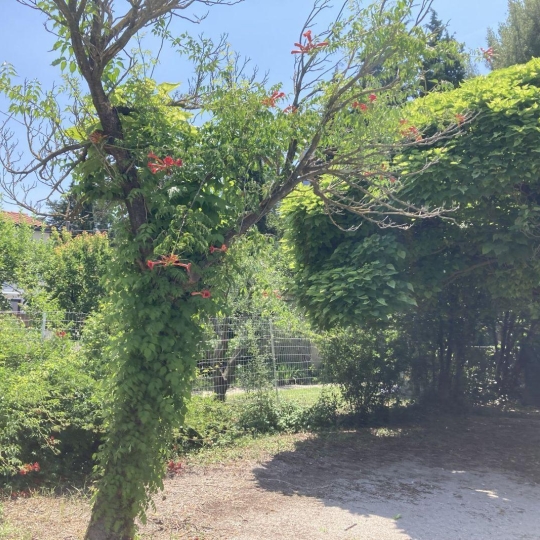  Annonces MONTPELLIERSUD : House | MONTPELLIER (34000) | 200 m2 | 840 000 € 