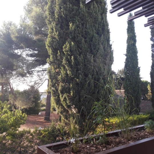  Annonces MONTPELLIERSUD : Appartement | MONTPELLIER (34000) | 58 m2 | 889 € 