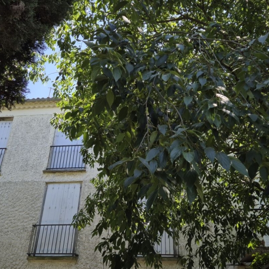  Annonces MONTPELLIERSUD : Maison / Villa | LE CRES (34920) | 91 m2 | 290 000 € 