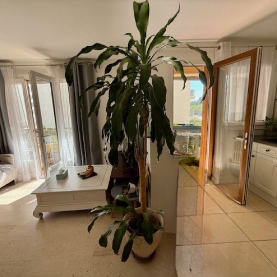  Annonces MONTPELLIERSUD : Appartement | MONTPELLIER (34000) | 58 m2 | 182 000 € 