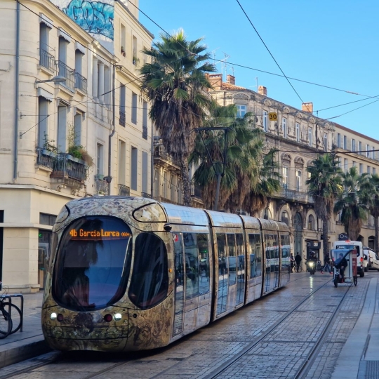 PAVLOVA IMMOBILIER : Office | MONTPELLIER (34000) | 225.00m2 | 132 000 € 