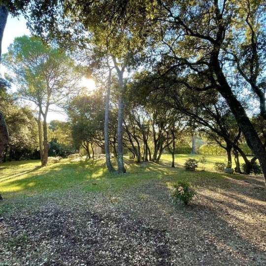 Annonces MONTPELLIERSUD : Terrain | MONTAUD (34160) | 206 m2 | 621 000 € 