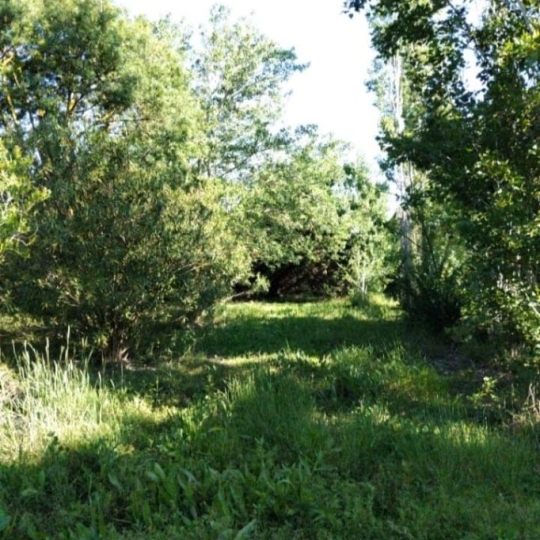  Annonces MONTPELLIERSUD : Ground | ASSAS (34820) | 0 m2 | 469 000 € 