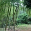  Annonces MONTPELLIERSUD : House | MONTPELLIER (34000) | 200 m2 | 840 000 € 