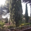  Annonces MONTPELLIERSUD : Appartement | MONTPELLIER (34000) | 58 m2 | 889 € 
