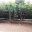  Annonces MONTPELLIERSUD : Appartement | LE CRES (34920) | 32 m2 | 664 € 
