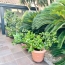  Annonces MONTPELLIERSUD : Maison / Villa | PALAVAS-LES-FLOTS (34250) | 70 m2 | 440 000 € 