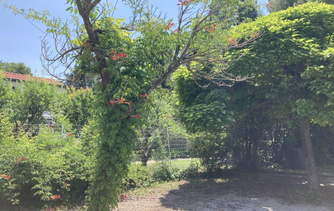 Annonces MONTPELLIERSUD : House | MONTPELLIER (34000) | 200 m2 | 840 000 € 