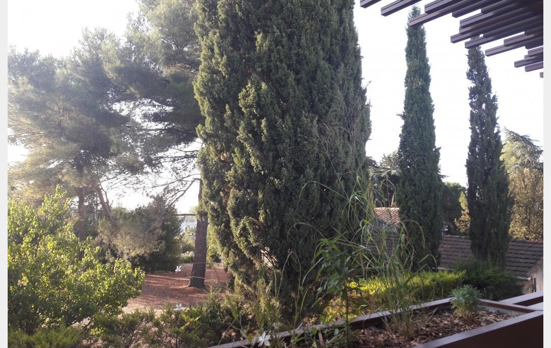 Annonces MONTPELLIERSUD : Appartement | MONTPELLIER (34000) | 58 m2 | 889 € 