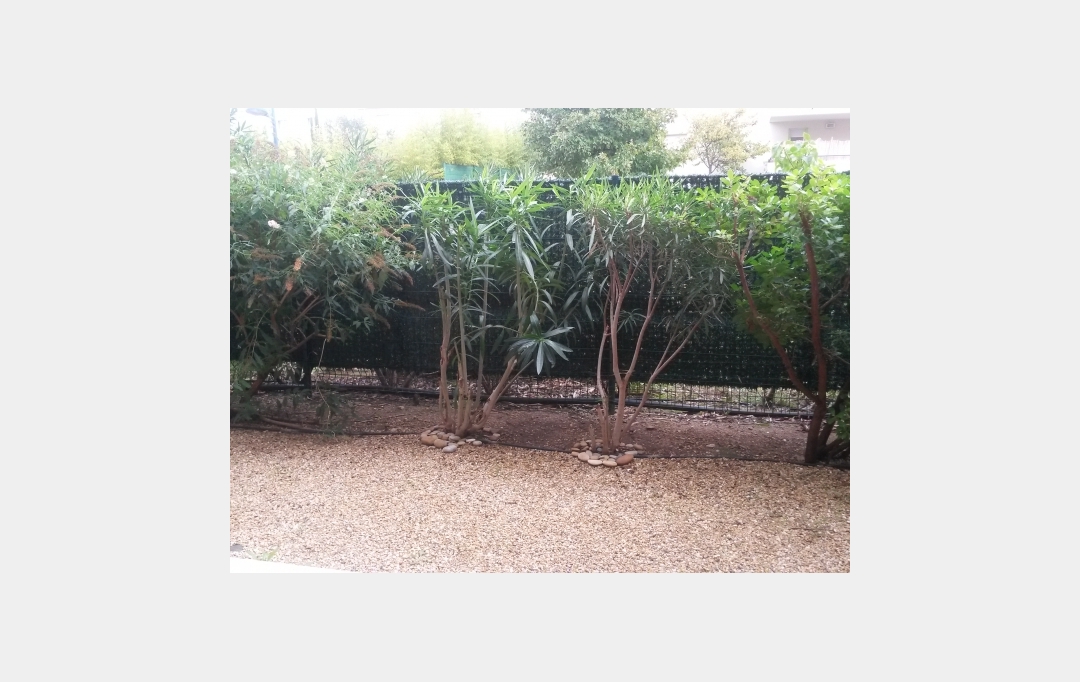 Annonces MONTPELLIERSUD : Appartement | LE CRES (34920) | 32 m2 | 664 € 