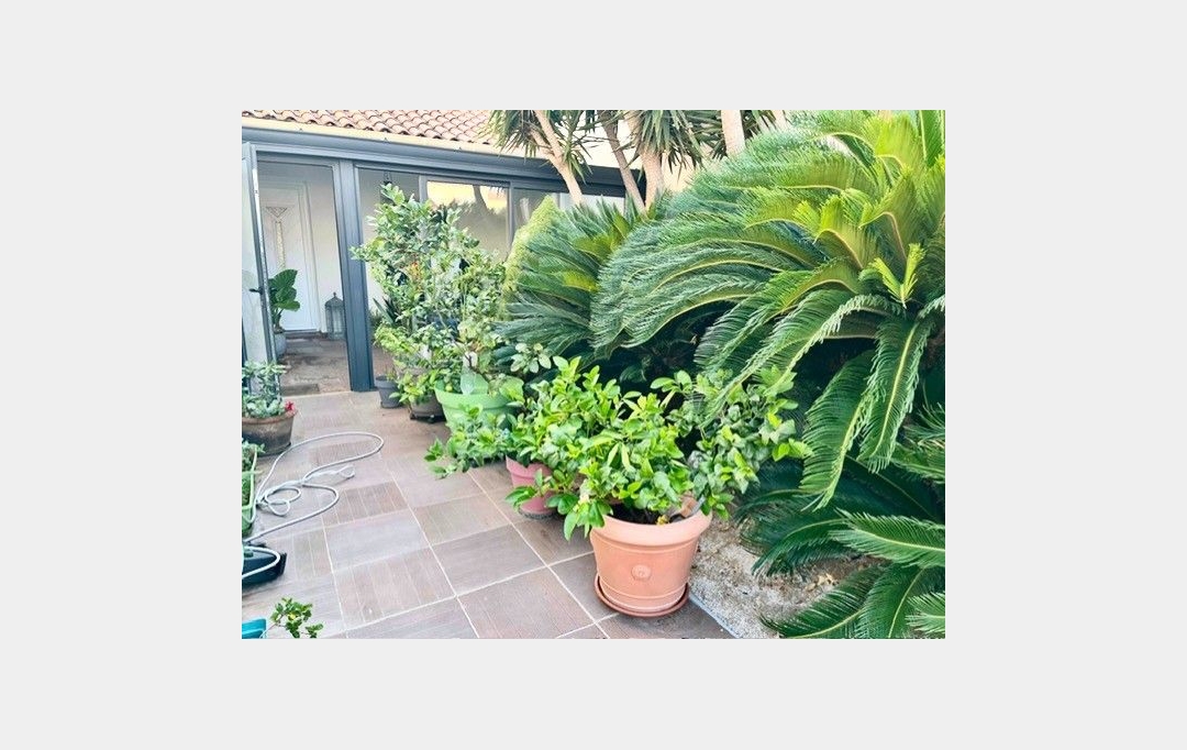 Annonces MONTPELLIERSUD : Maison / Villa | PALAVAS-LES-FLOTS (34250) | 70 m2 | 440 000 € 