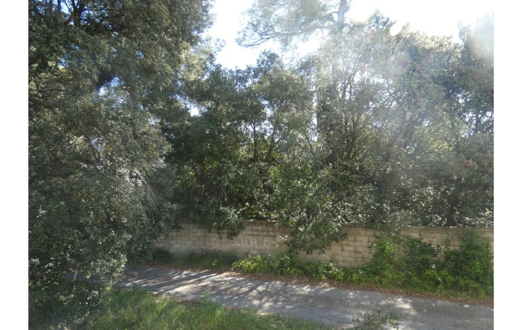 Annonces MONTPELLIERSUD : Appartement | JUVIGNAC (34990) | 64 m2 | 249 000 € 
