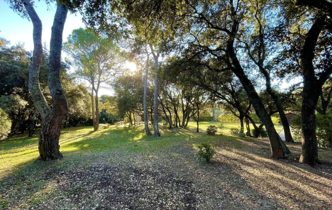 Annonces MONTPELLIERSUD : Terrain | MONTAUD (34160) | 206 m2 | 621 000 € 