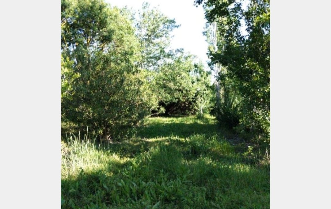 Annonces MONTPELLIERSUD : Ground | ASSAS (34820) | 0 m2 | 469 000 € 