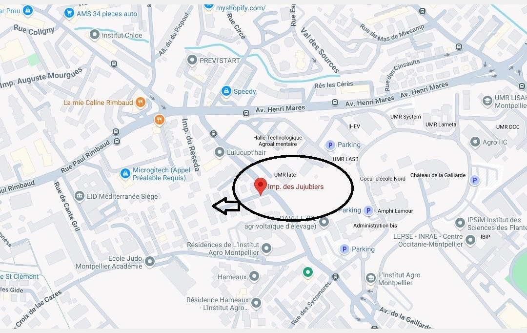 Annonces MONTPELLIERSUD : Appartement | MONTPELLIER (34080) | 24 m2 | 56 000 € 