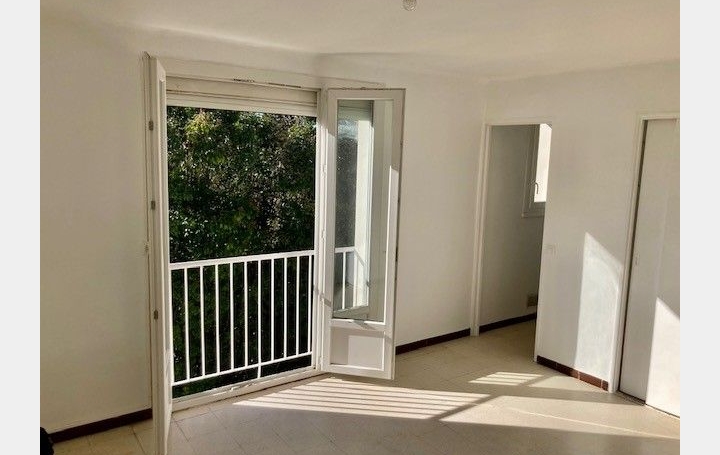 Appartement P1 MONTPELLIER 25 m2 485 € Appartement P1 MONTPELLIER 25 m2 485 €