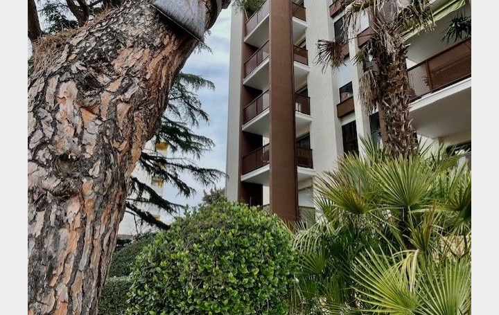  Annonces MONTPELLIERSUD Appartement | MONTPELLIER (34000) | 56 m2 | 139 000 € 