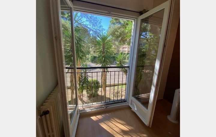 Appartement P3 MONTPELLIER 64 m2 975 € Appartement P3 MONTPELLIER 64 m2 975 €