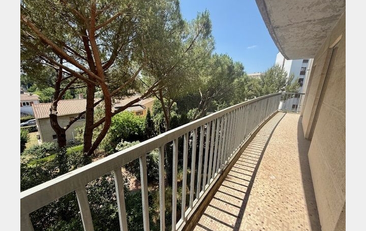 Appartement P3   MONTPELLIER  83 m2 171 000 € 