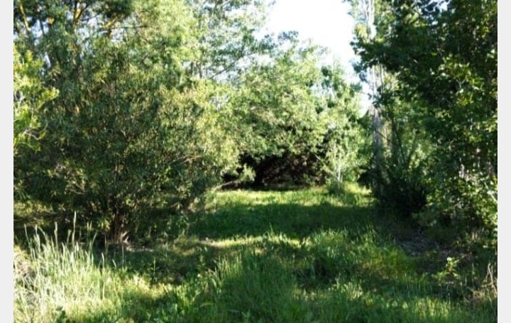  Annonces MONTPELLIERSUD Ground | ASSAS (34820) | 0 m2 | 469 000 € 